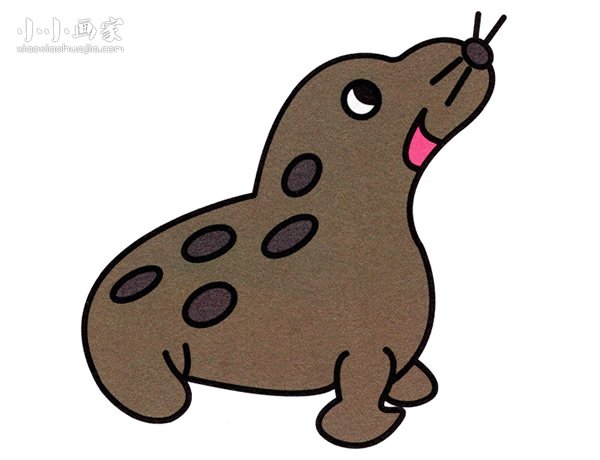 可爱小海豹简笔画画法图片步骤- www.chuantongba.top