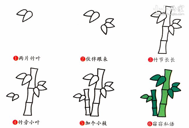 彩色竹子简笔画画法图片步骤- www.chuantongba.top