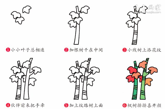 两棵枫树简笔画画法图片步骤- www.chuantongba.top