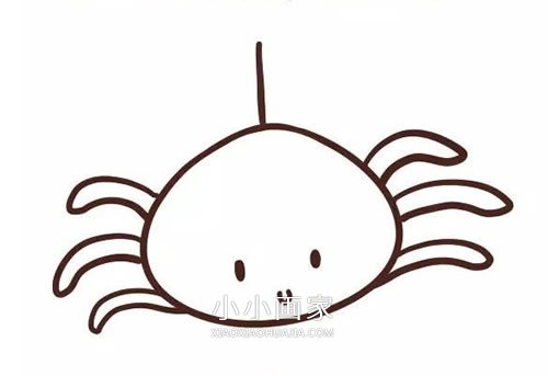 彩色卡通小蜘蛛简笔画画法图片步骤- www.chuantongba.top