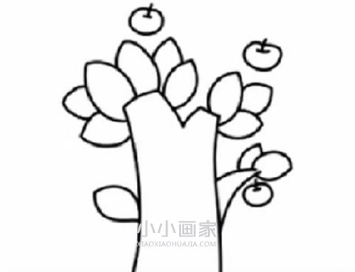 简单苹果树简笔画画法图片步骤- www.chuantongba.top