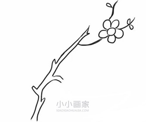 简单梅花简笔画画法图片步骤- www.chuantongba.top