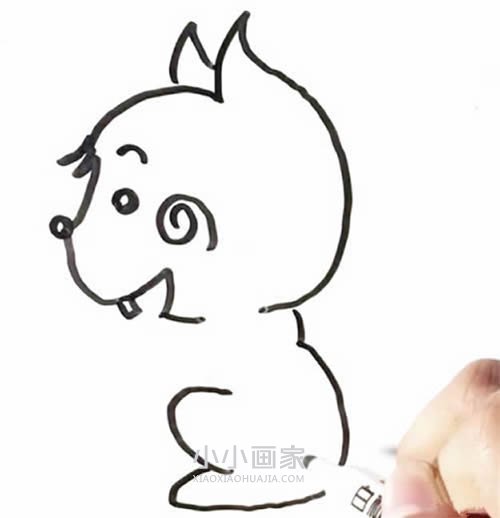 手拿榛子的松鼠简笔画画法图片步骤- www.chuantongba.top