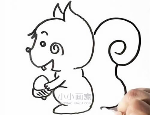 手拿榛子的松鼠简笔画画法图片步骤- www.chuantongba.top