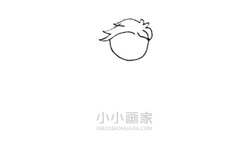 可爱小王子简笔画画法图片步骤- www.chuantongba.top
