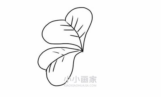 四叶草简笔画画法图片步骤- www.chuantongba.top