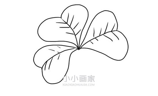 四叶草简笔画画法图片步骤- www.chuantongba.top