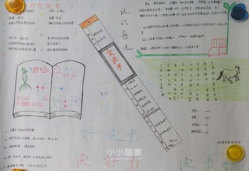 读好书手抄报内容简单七年级- www.chuantongba.top