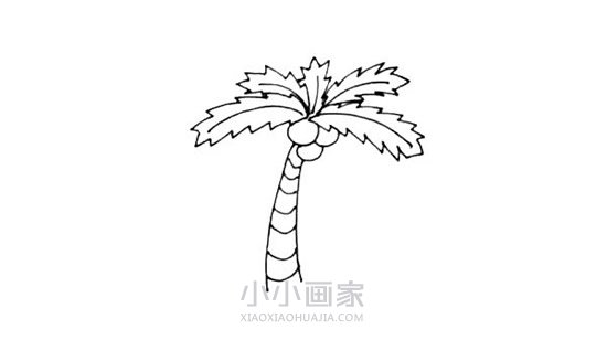 岛上的椰子树简笔画画法图片步骤- www.chuantongba.top